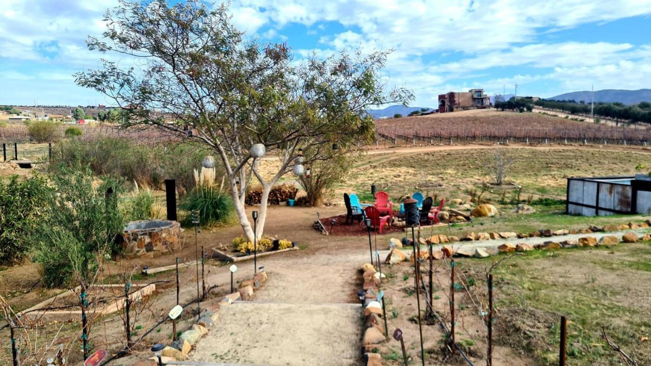 Finca Vidandrei Casa Eucalipto Valle de Guadalupe Zewnętrze zdjęcie