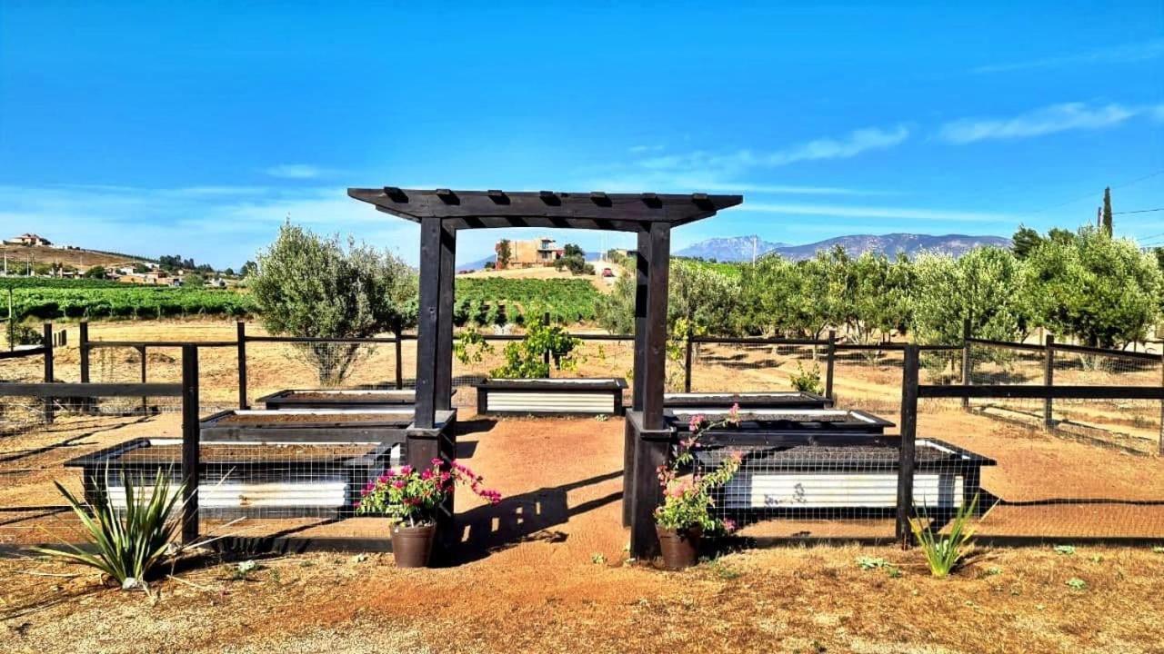 Finca Vidandrei Casa Eucalipto Valle de Guadalupe Zewnętrze zdjęcie