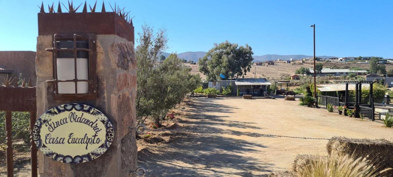 Finca Vidandrei Casa Eucalipto Valle de Guadalupe Zewnętrze zdjęcie