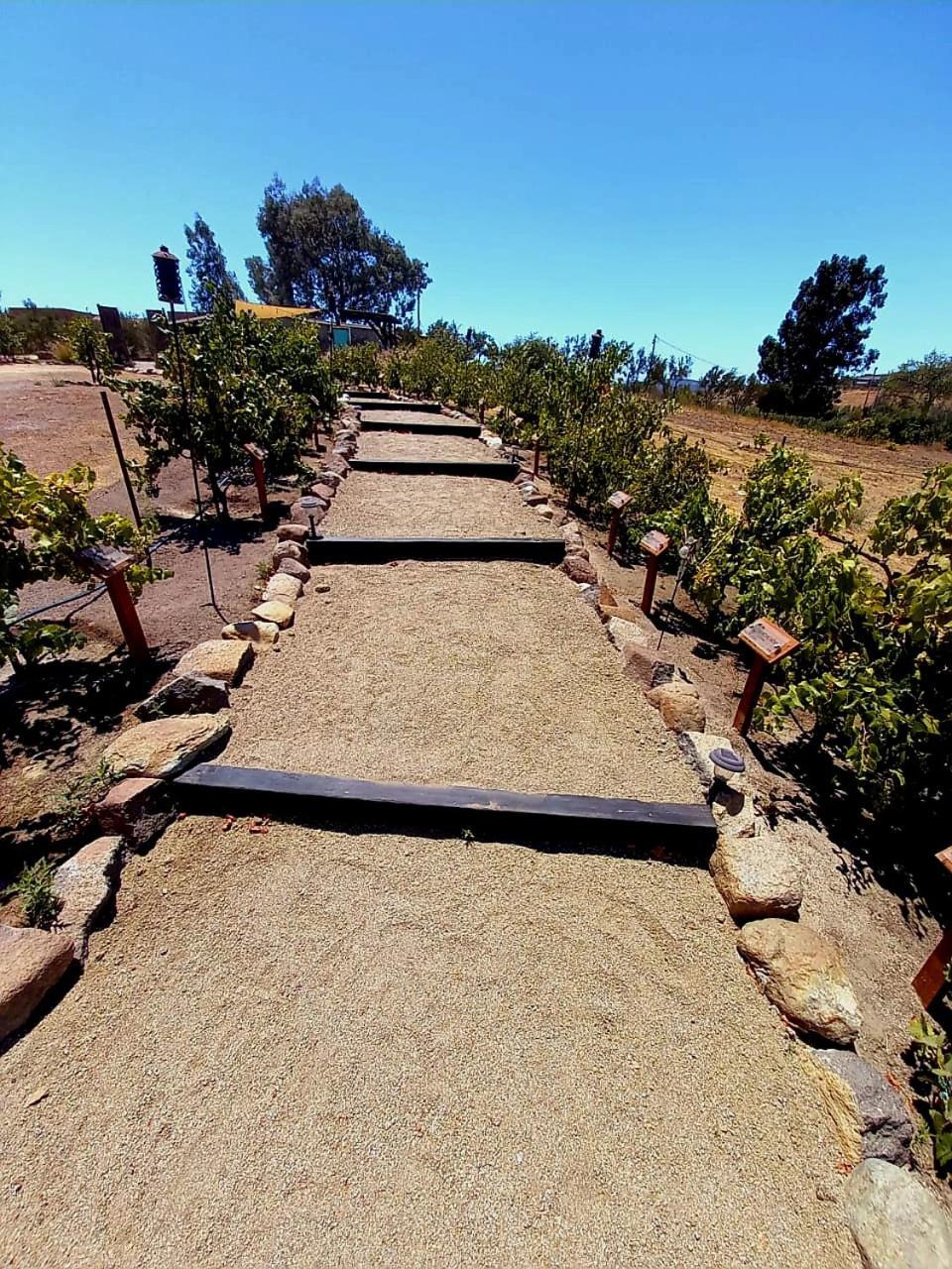Finca Vidandrei Casa Eucalipto Valle de Guadalupe Zewnętrze zdjęcie